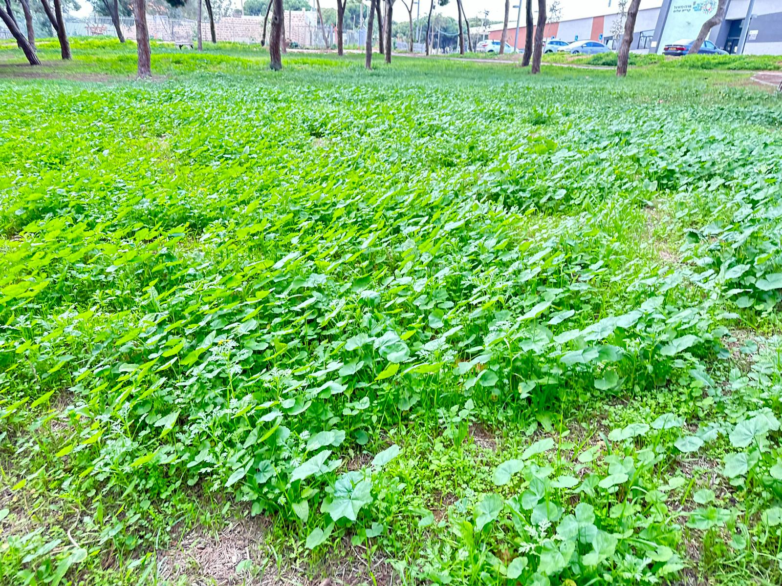 WhatsApp Image 2024-01-05 at 14.01.21 (1).jpeg